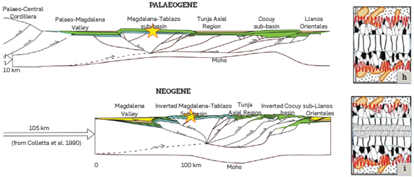 Diagram illustrating the interior of the Rosablanca Formation in Mesa de Los Santos (star): (h) the formation of granular aggregates of elongate crystals and (i) the formation of fibrous aggregates within veins. At a local level, these processes were likely influenced regionally by compressive processes associated with tectonic inversion and the elevation of the Santander Massif. Modified image from Sarmiento [18].