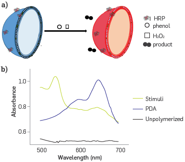 Diagram of signal generation in the nanobiosensor by PDA- HRP liposomes interacting with phenol in presence of hydrogen peroxide, (a) PDAb was transformed to PDAr after stimuli, (b) PDAb and PDAr UV-vis spectra.114B.