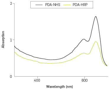Absorption spectra of synthesized PDA-NHS and PDA-HRP liposomes.