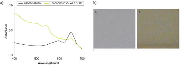 Evaluation of the phenol derivatives concentration in the simulated Kraft effluent (a) spectral changes of PDA - HRP liposomes before and after addition, and (b) pictures of the colorimetric transition observed, before a. and after b.