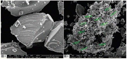 SEM images: on the left pure SÍO2, on the right the composite (immobilized IL).
